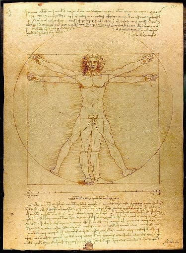 レオナルド・ダ・ヴィンチの「ウィトルウィウス的人体図」の画像